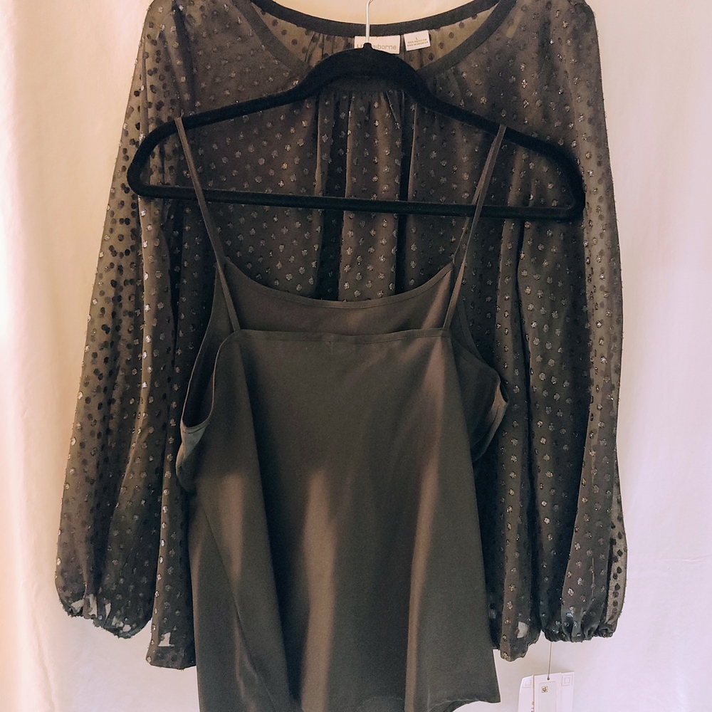 Sheer Black Blouse and Tank Set